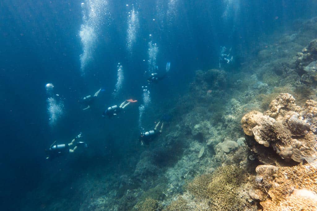 Scuba Diving Group