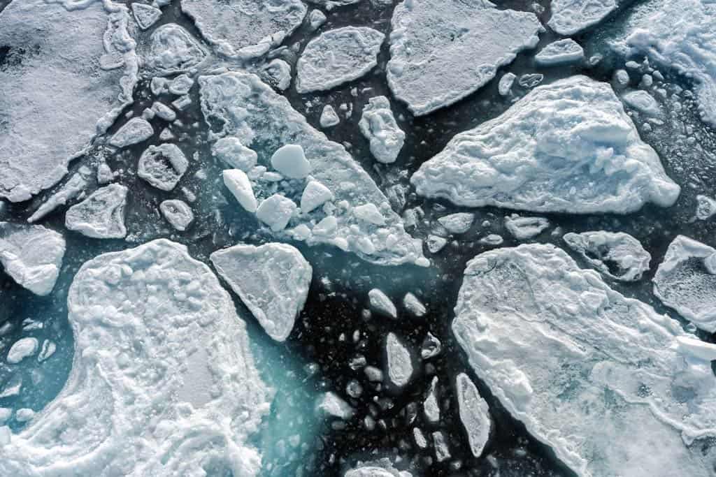 Pack Ice