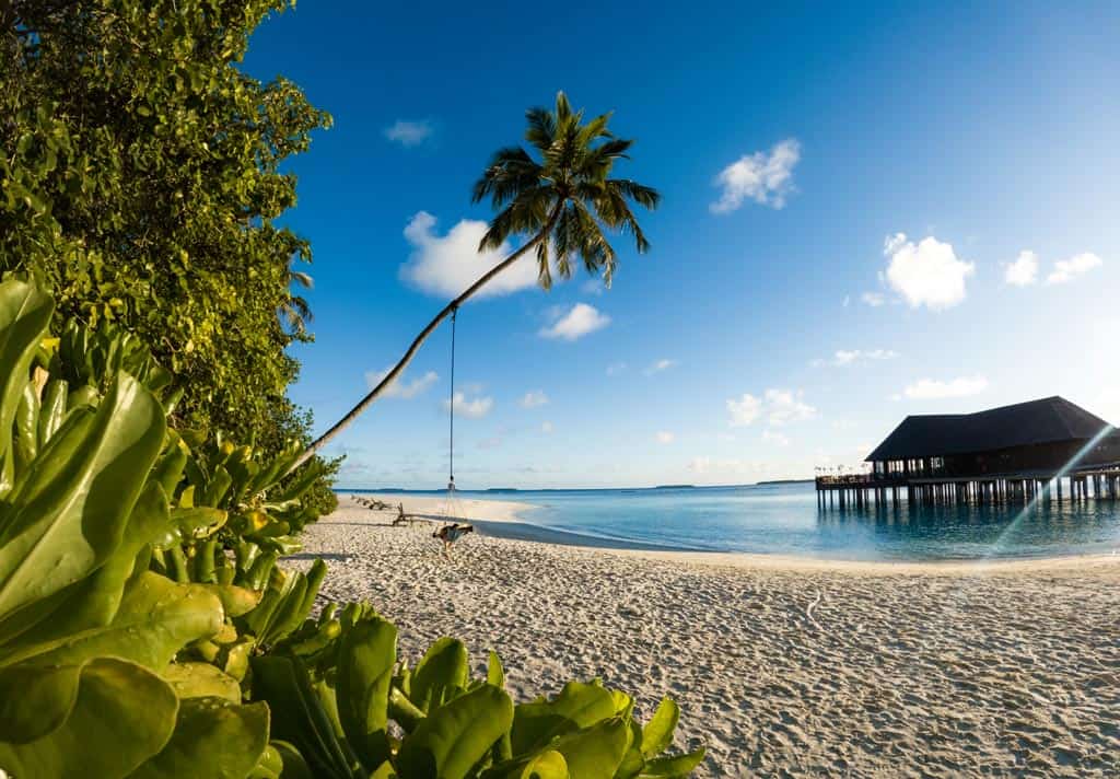 Review Of Sun Siyam Iru Fushi Palm Trees