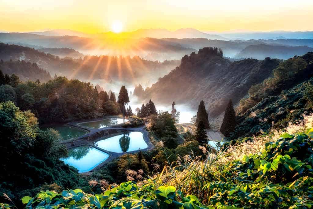 Yamakoshi Japan